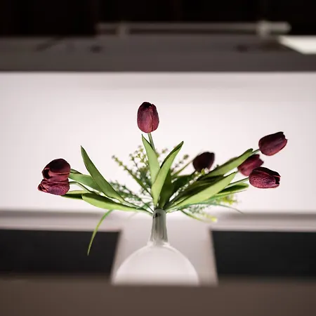 Silver Spanish's Steps Apartman